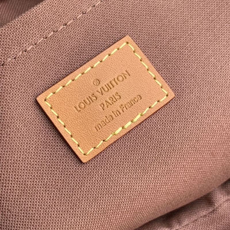 LV Satchel bags